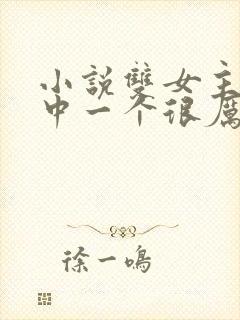 小说双女主,其中一个很厉害