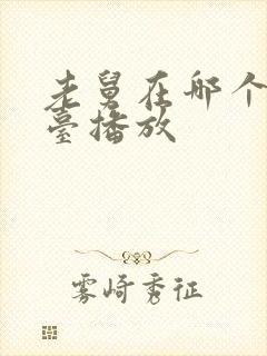 老舅在哪个电视台播放