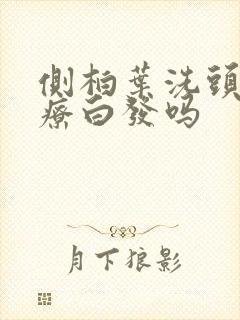 侧柏叶洗头能治疗白发吗