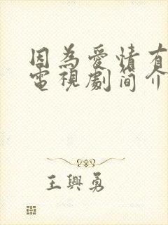 因为爱情有多美电视剧简介封面