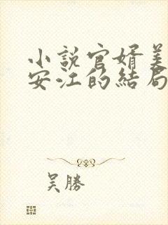 小说官婿美人图安江的结局