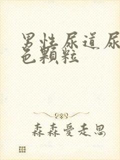 男性尿道尿出白色颗粒封面