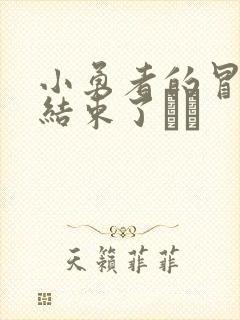 小勇者的冒险要结束了封面