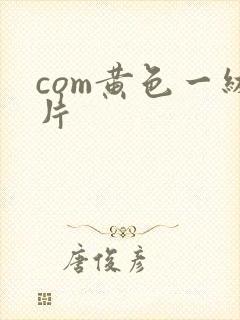 com黄色一级片