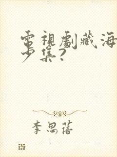 电视剧藏海传多少集?封面