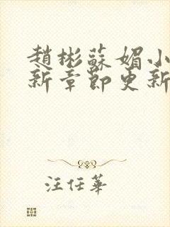 赵彬苏媚小说最新章节更新情况封面