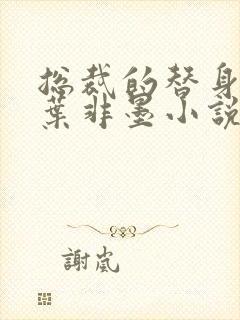 总裁的替身前妻叶非墨小说封面