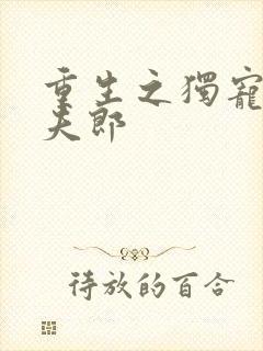 重生之独宠冲喜夫郎