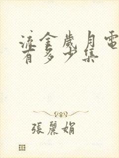 流金岁月电视剧有多少集封面