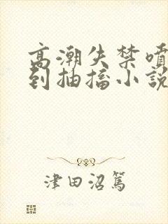 高潮失禁喷水爽到抽搐小说