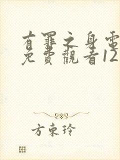 有罪之身电视剧免费观看12集高清