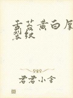 舌苔黄白厚腻有裂纹