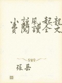 小说风起龙城免费阅读全文无窗口