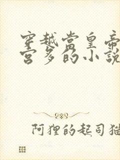 穿越当皇帝且后宫多的小说