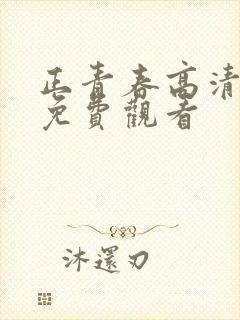 正青春高清全集免费观看