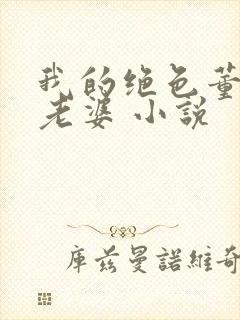 我的绝色董事长老婆 小说封面