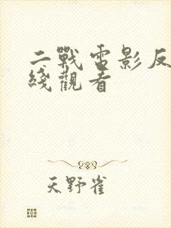 二战电影反击在线观看