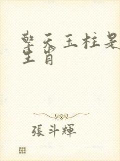 擎天玉柱是什么生肖