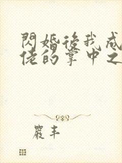 闪婚后我成了大佬的掌中之物免