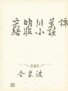 宋明川叶锦禾完结版小说封面