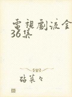 电视剧流金岁月36集