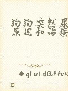 狗狗突然尿血的原因和治疗方法