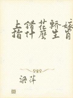 上错花轿嫁对郎指什么生肖封面