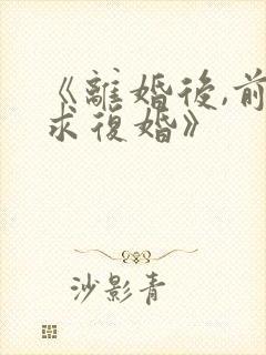 《离婚后,前夫求复婚》