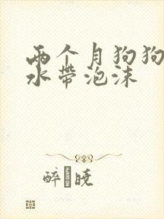 两个月狗狗吐黄水带泡沫