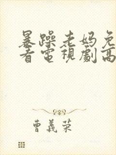 暴躁老妈免费观看电视剧高清