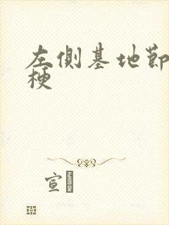 左侧基地节区腔梗