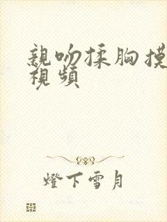 亲吻揉胸摸屁股视频