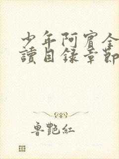 少年阿宾全文阅读目录章节第一章房东太太