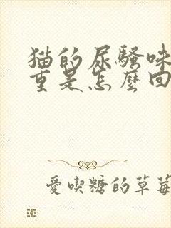 猫的尿骚味特别重是怎么回事