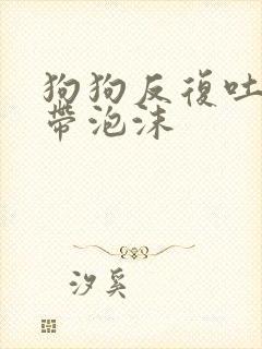 狗狗反复吐黄水带泡沫