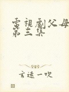 电视剧父母爱情第三集