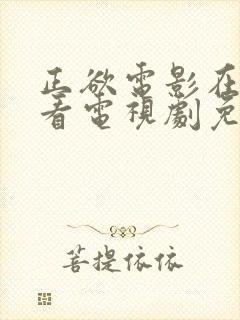 正欲电影在线观看电视剧免费