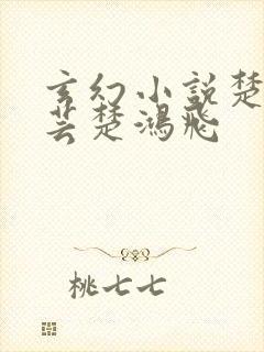 玄幻小说楚风楚芸楚鸿飞