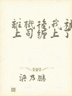 离职后,我被前上司缠上了