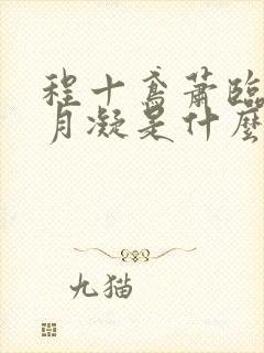 程十鸢萧临渊沈月凝是什么小说