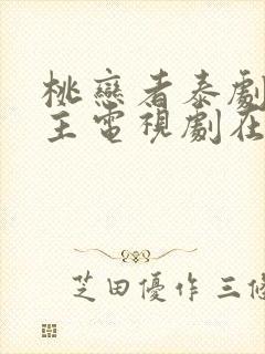 桃恋者泰剧双男主电视剧在线观看