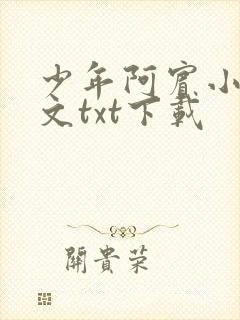 少年阿宾小说全文txt下载