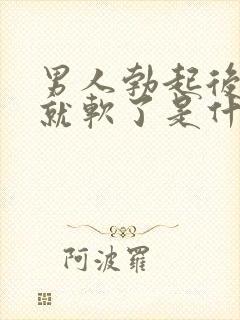 男人勃起后很快就软了是什么原因