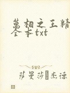 万相之王精校版全本txt