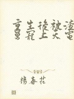 重生后被渣男舅舅宠上天电视剧封面