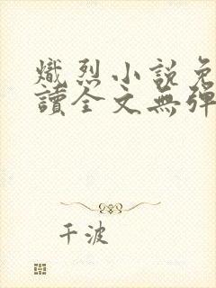 炽烈小说免费阅读全文无弹窗封面