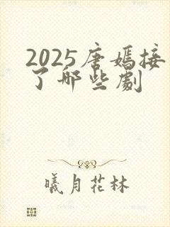 2025唐嫣接了哪些剧