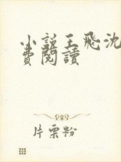 小说王飞沈姨免费阅读