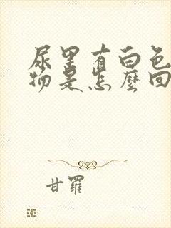 尿里有白色沉淀物是怎么回事男封面