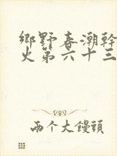 乡野春潮干柴烈火第六十三章